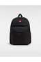 Rucsac Skate All Day 22L