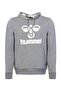 Arus - Men's Gray Hooded Sweatshirt - 2