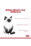 Cat Fhn Kitten Cat Food 4kg - 6