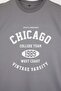 Gray Oversized /Wide Cut City Printed 100% Cotton Sleeveless T-Shirt/Undershirt Tmnss23Al00008 - 2