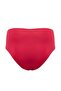 Burgundy Flounce Tankini Bikini Set Tbess25Ma00087 - 8