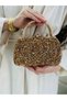 Crystal Cast Rose Stone Scholarship Women's Handbag and Long Chain Strap Evening Dress Bag - 5