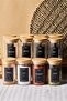 Eraldo 12-Pack Bamboo Lid Borosilicate Glass Spice Jar 250ml 10X6Cm 16527