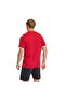 Ent26 Tee Men's Sports T-Shirt Jz6676 - 2