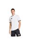 Ent26 Polo Men's Polo T-Shirt Jz6661