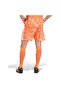 T26 C Gk Sho m Men's Sports Shorts Kc5345 - 2