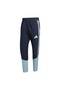 Afa Pre Pnt Men's Sports Sweatpant Jy7033 - 4