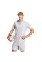 Ent26 Gfx Jsy Men's Jersey Kb3973