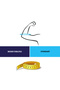 الكود 302-ES AIRTEX TENNIS ELBOW (قياسي) - 2