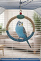 Muhabbet Jute Rope Round Swing (Blue)