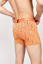 X Saving House - Patterned Men's Boxers - Siamese - 6