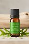 زيت شجرة الشاي العطري 10 مل (طبيعي 100%)