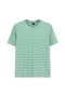 Crew Neck Regular Fit Cotton Striped T-Shirt - 2
