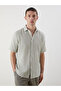 Regular Fit Short Sleeve Striped Men's Shirt