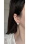 Special Seri̇taşli Heart Earrings - 2