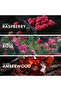 AMBER RASPBERRY - Eau De Parfum 50ml, Unisex Fragrance, Long Lasting Perfume, Inspired-OMBRE NOMADE - 4