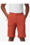 Triple Canyon Men's Shorts 1711701-835