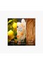 ليمون Eau De Toilette للنساء - 100 مل - 4