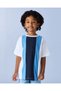 Boys Multicolour Cut and Sew Fashion T Shirt