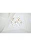 Bkp106 White Ring Hanging Earrings (Length 50 mm) - 2
