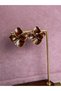 Mineli Brown Color Flower Model Women's Earrings - 2