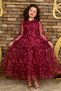 Girl's Burgundy Dress with Transparent Sleeves and Collar, Tulle Pieces and Leaf Detail - 2
