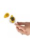 Set arheologic educational insecte in chihlimbar - 7