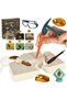Set arheologic educational insecte in chihlimbar
