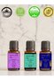Zindelik Essential Oil Set - 3 X 20 ml Set (Tea Tree, Lavender, Palmarosa Essential Oils)