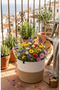 24*22 Basket Flower Pot Organizer Gift Basket Organizer Bathroom Basket Flower Holder - 7