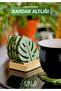 Leaf Patterned 3D Decorative Coaster Set