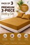 3-Piece Striped Fitted Bed Sheet Set with 2 Pillowcases, Soft Breathable Bedding