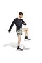 Adi365 Ap 21 m Men's Sports Shorts Jy7438 - 3
