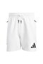 M Z.N.E. Sho Men's Sports Shorts Jj4893 - 4
