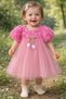 Baby Girl Rose Dress Princess Model Pink Special Occasion