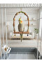 Medium Size Parrot Wooden Swing