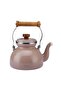 Royal Enamel Teapot Mink