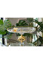 Luxury Gift Metal-Footed Gold Oval Butterfly Serving Dish Cookie Holder - New Series - 3