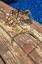 Bride Tiara and Glasses Set, Bride To Be Tiara and Glasses Plastic Set, GOLD - 3