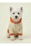 Bnt-S2512 Cat Dog Hooded Sweatshirt Navy Blue - 2