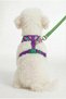 Bnt-A2508 Cat Dog Chest Harness Air Network Purple - 2