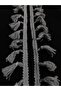 Dark Gray White Tasseled Fringe Edge Ribbon 1 Meter - 2