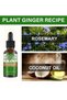 30ml Hair Oil Convenient Long Lasting Lightweight Rosemary Hair Essential Oil - 2