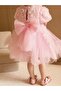 Special Series Rose Appliqued Princess Dress Pink - 2