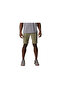 Triple Canyon Men's Shorts 1711701-397