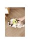 Click and Groom Cat and Dog Pressing Massage Brush - 4