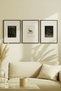 3 Pieces of Black Wooden Framed Fading Branches and Duck Vintage Painting - 2