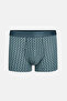 Water Green Patterned Micro Modal Boxer