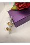 Jeweler's Series Simple New Model Ring Steel Earrings - 2