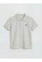 Ozmarka New Season Dinosaur Printed Boy's T-Shirt and Shorts - 2